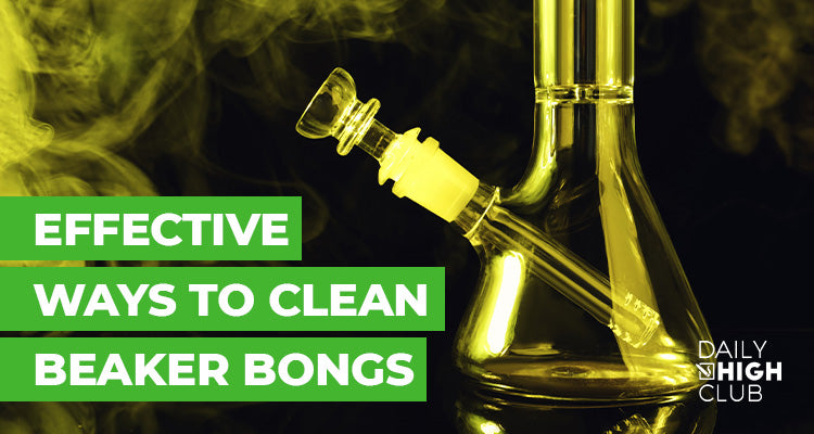 How to Clean a Beaker Bong: The DHC Guide