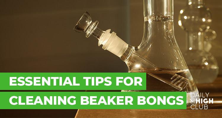 How to Clean a Beaker Bong (The Right Way)
