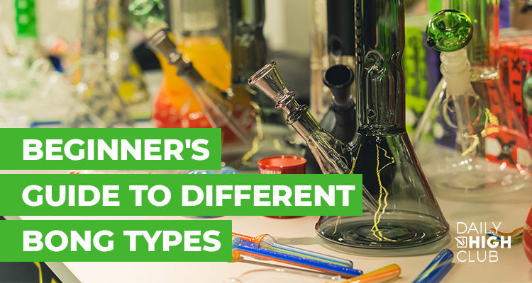 Beginner's Guide to Different Bong Types