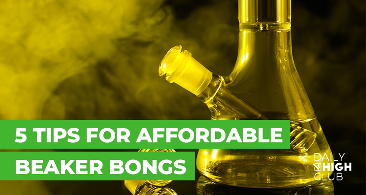 Your Guide to Buying a Great Beaker Bong on a Budget