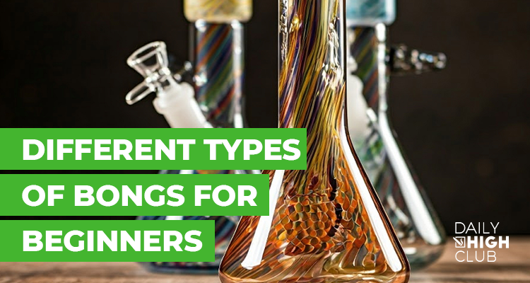 Different Types of Bongs for Beginners