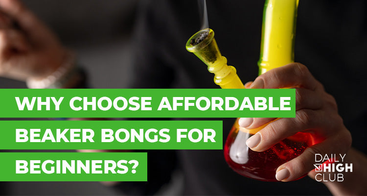 Affordable Beaker Bongs for Beginners