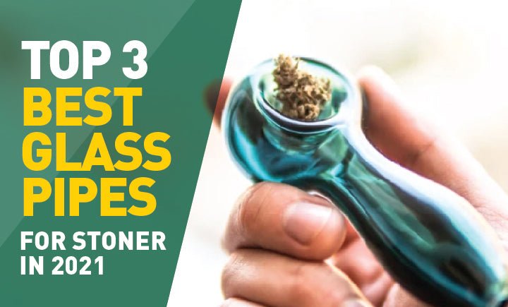 Top 3 Best Glass Pipes For Stoners in 2021