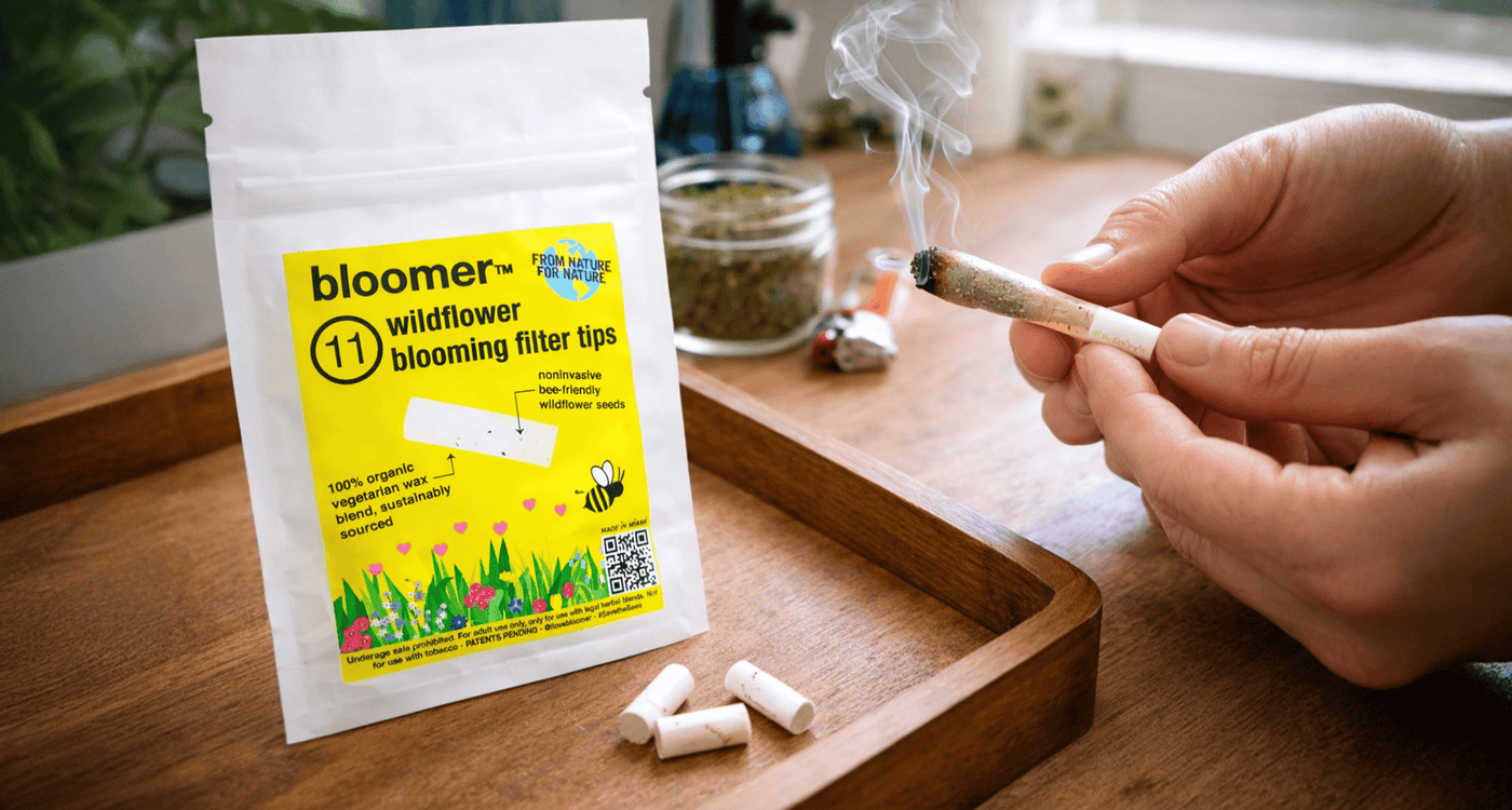 Bloomers Wildflower Seed Filter Rolling Tips Review: Smooth, Natural Rolls