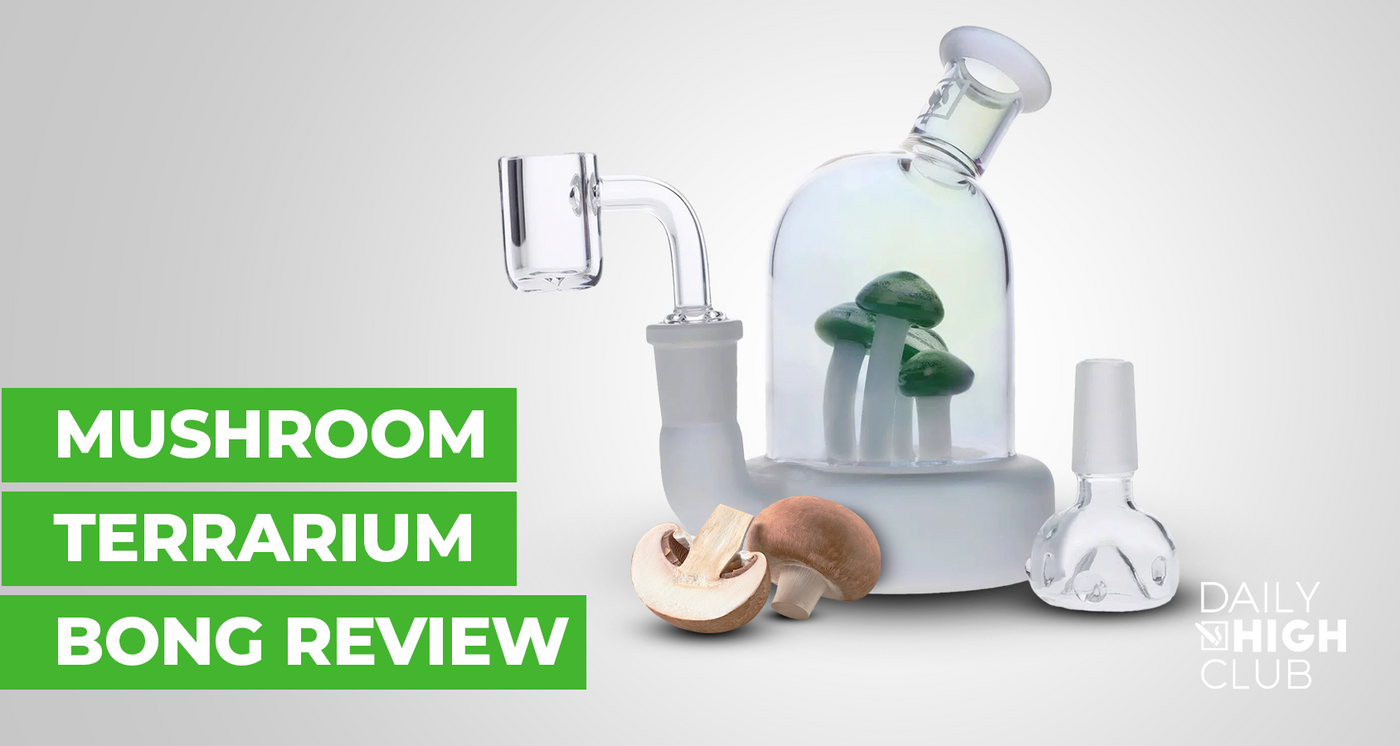 Mushroom Terrarium Bong Review