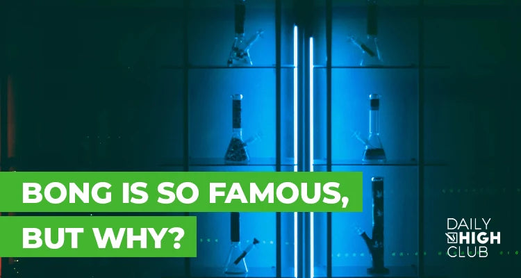 Bong is So Famous, But Why?