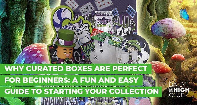 Why Curated Boxes Are Perfect for Beginners: A Fun and Easy Guide to Starting Your Collection