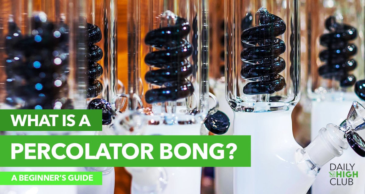 The Best Percolator Bongs: Our Picks