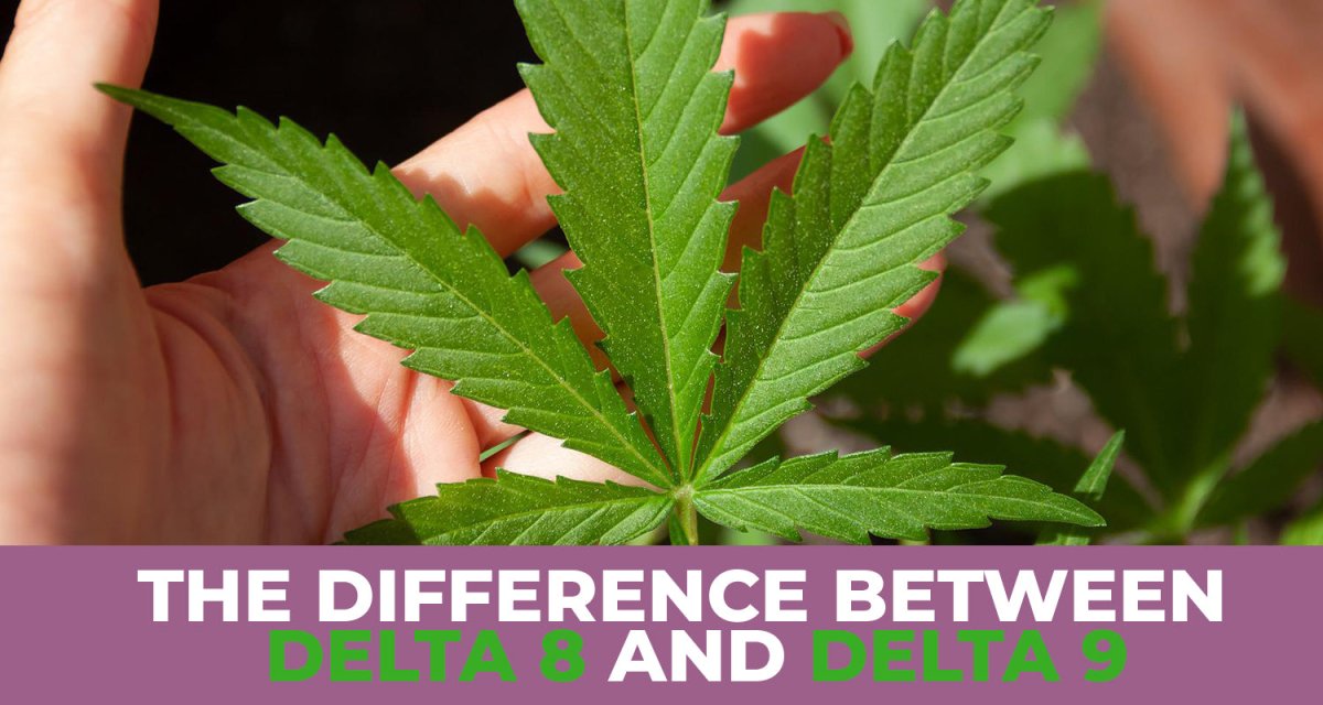 What's the difference between Delta 8 and Delta 9 THC?