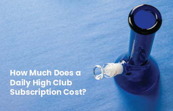 How Much Does a Daily High Club Subscription Cost?