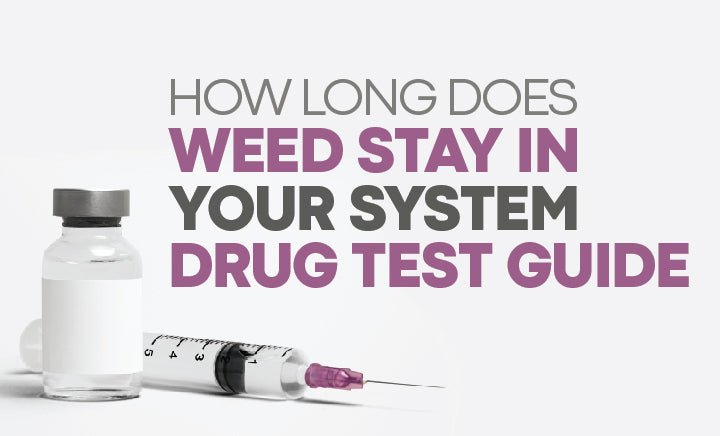 How Long Does Weed Stay in Your System | Drug Test Guide