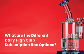 What are the Different Daily High Club Subscription Box Options?