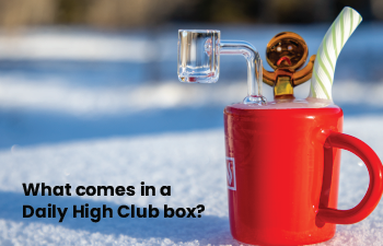 What comes in a Daily High Club box?