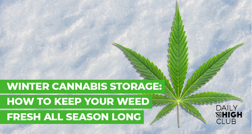Winter Cannabis Storage: How to Keep Your Weed Fresh All Season Long