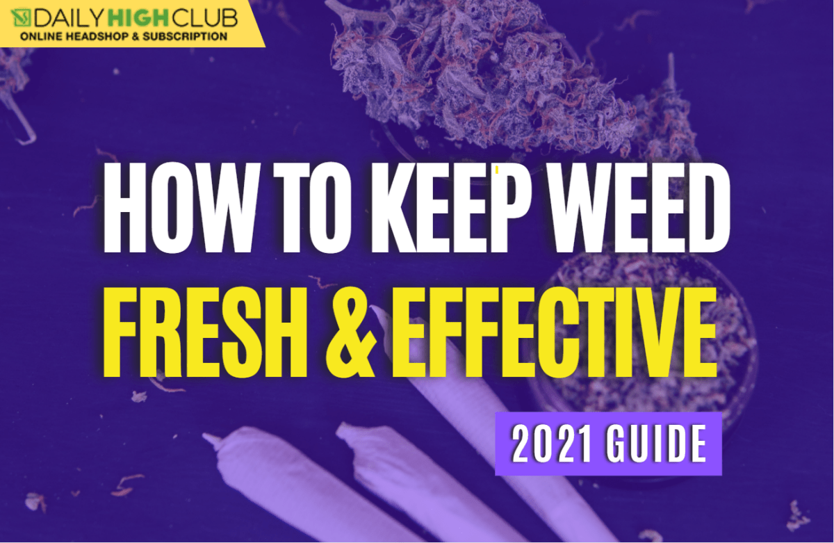 How To Keep Weed Fresh & Effective 2021 Guide