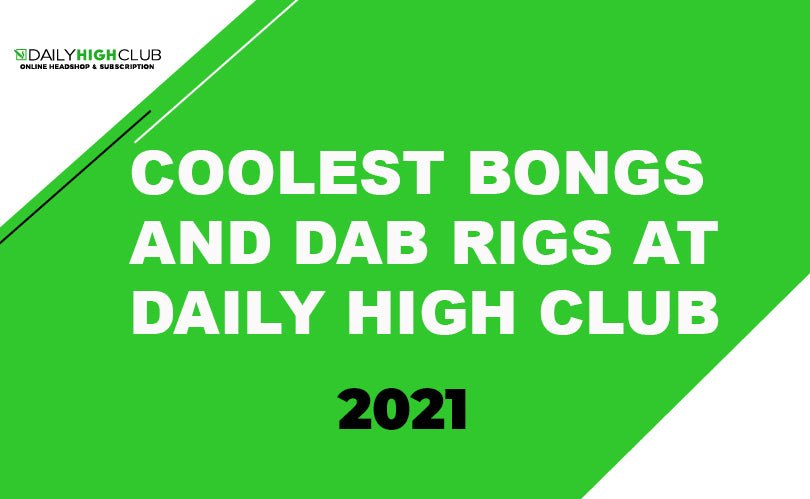 Coolest Bongs and Dab Rigs at Daily High Club