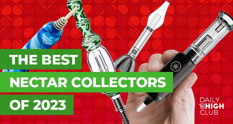 The Best Nectar Collectors of 2023