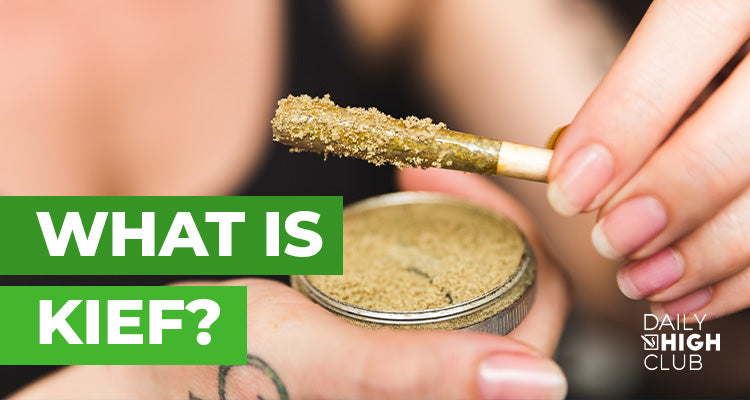 what is kief