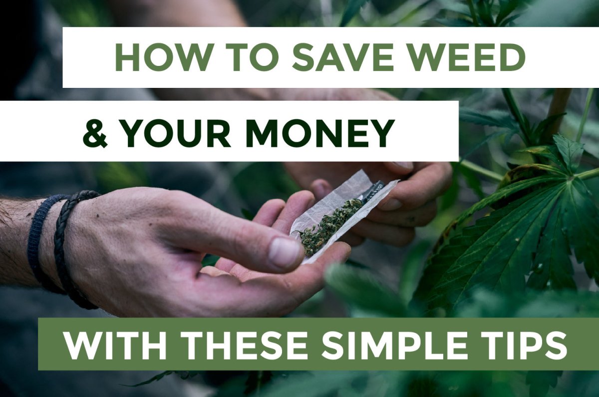 How To Save Weed & Your Money With These Simple Tips