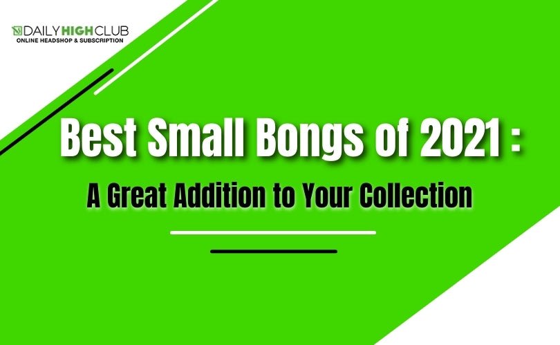 Best Small Bongs of 2021: A Great Addition to Your Collection