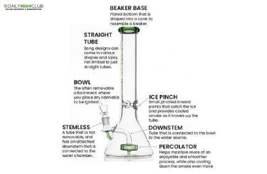 How Does a Bong Work?