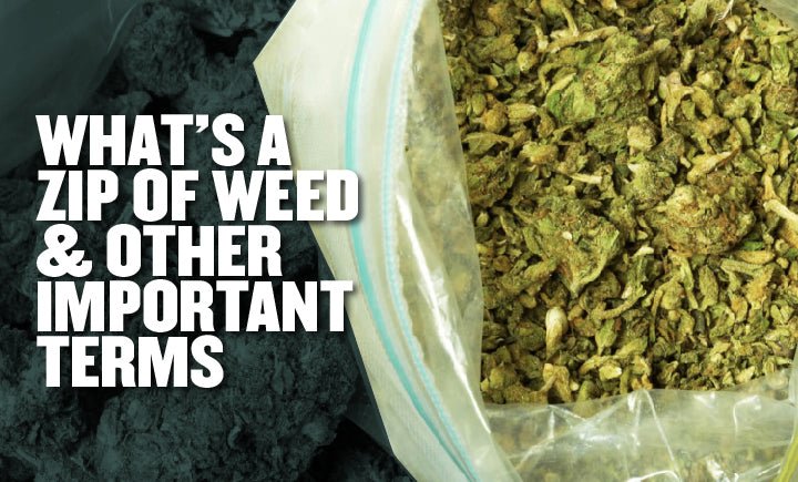 What Is a Zip of Weed? Your Guide to Cannabis Measurements