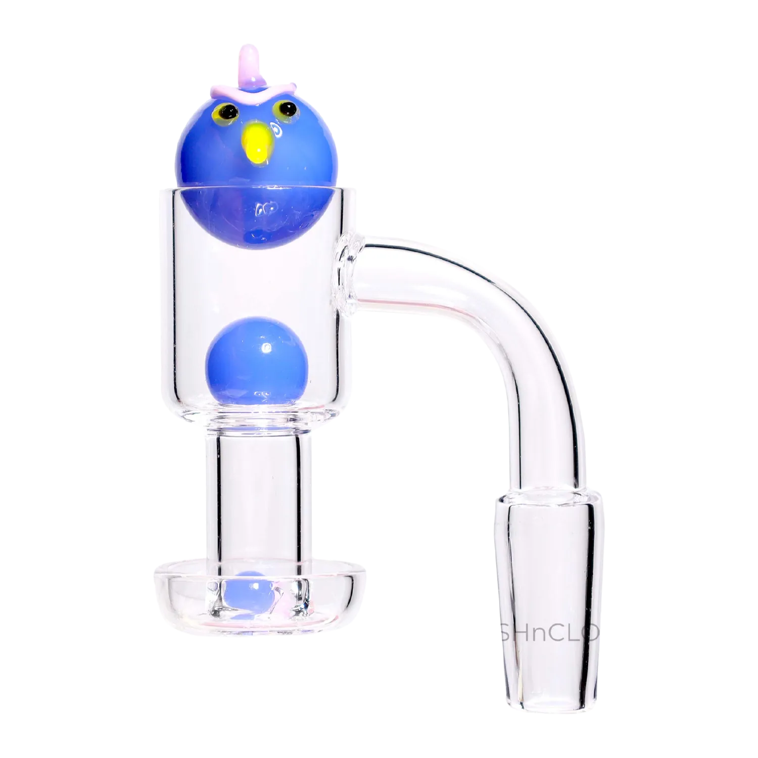 Right-side view of the DHC Angry Bird Terp Slurper Banger Set - 14mm showing a clear glass joint and bucket with a blue bird-shaped carb cap and matching blue marble inside.