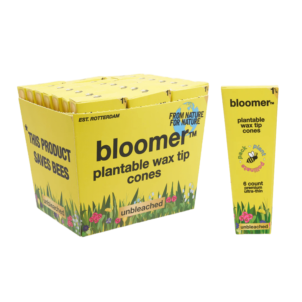 bloomer biodegradables 6 Packs (36 cones) bloomerâ„¢ 1-1/4 paper cones - unbleached