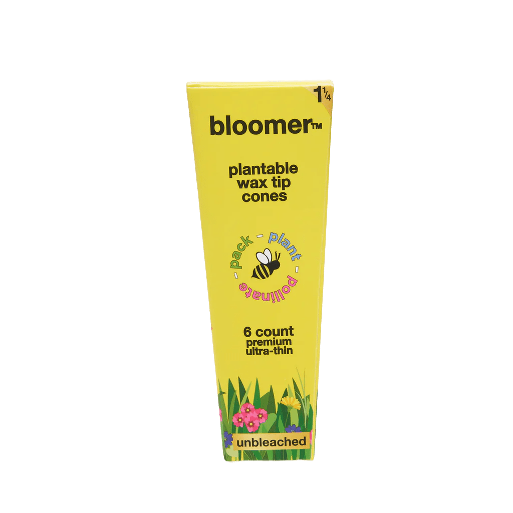 bloomer biodegradables bloomerâ„¢ 1-1/4 paper cones - unbleached